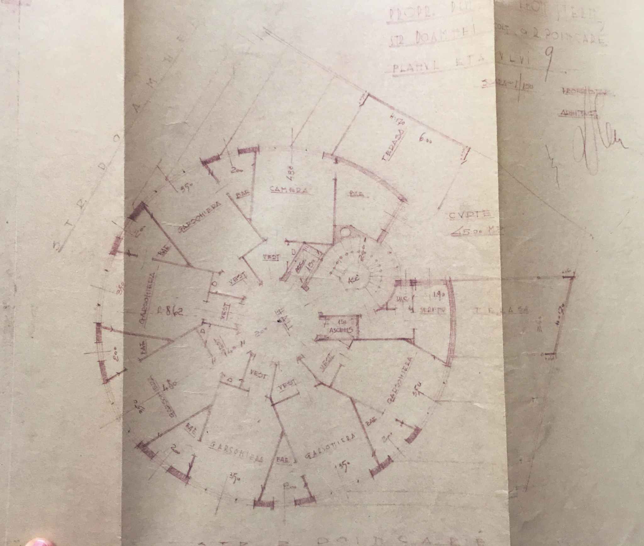 Blanduzia花园相关建筑演变项目丨罗马尼亚布加勒斯特丨Carol Benisch,Camil Sarvasy等-47