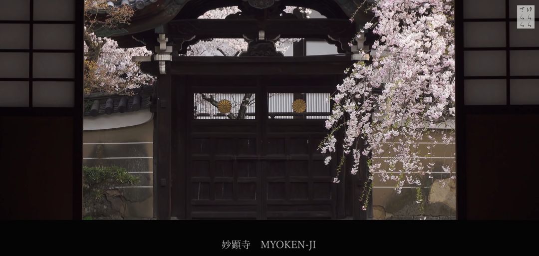 京都禅意庭院，演绎日本自然之美-51