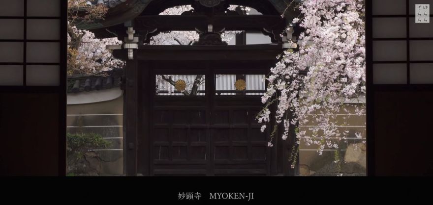 京都禅意庭院,演绎日本自然之美-51