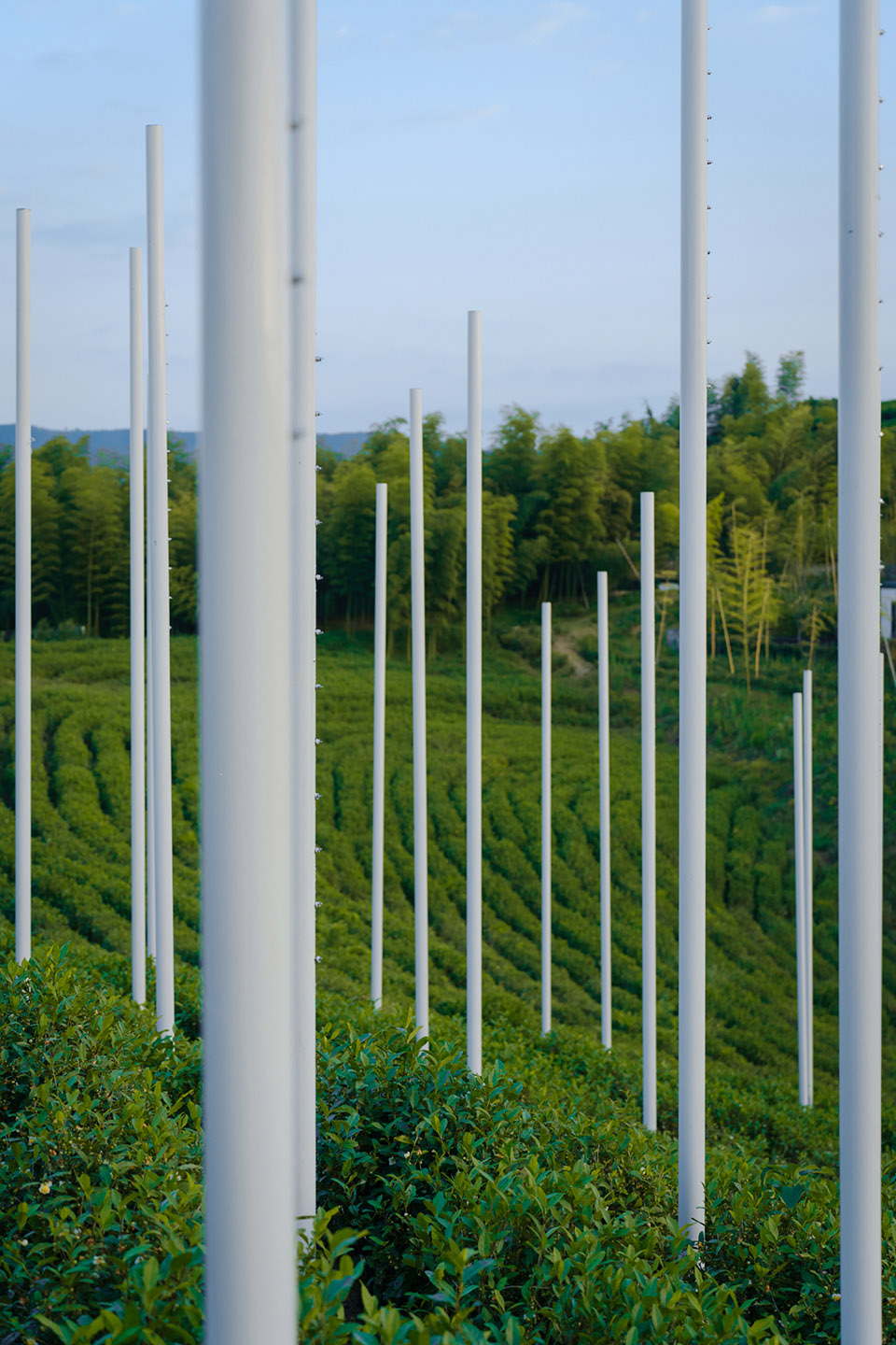 湖州望山茶亭丨中国湖州丨PLAT ASIA-35