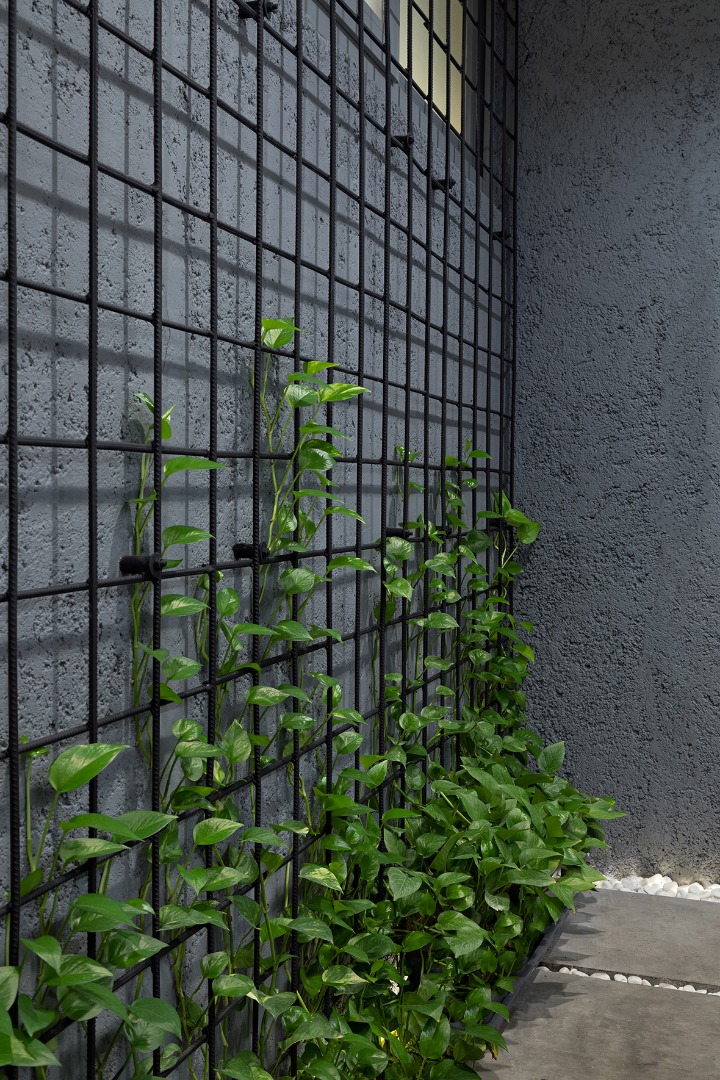 Tehran 建筑师的绿色庭院生活-43