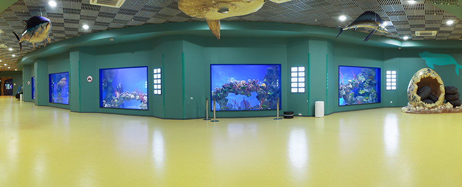 “Moskvarium”海洋馆丨俄罗斯莫斯科丨Aqua Logo Engineering-140