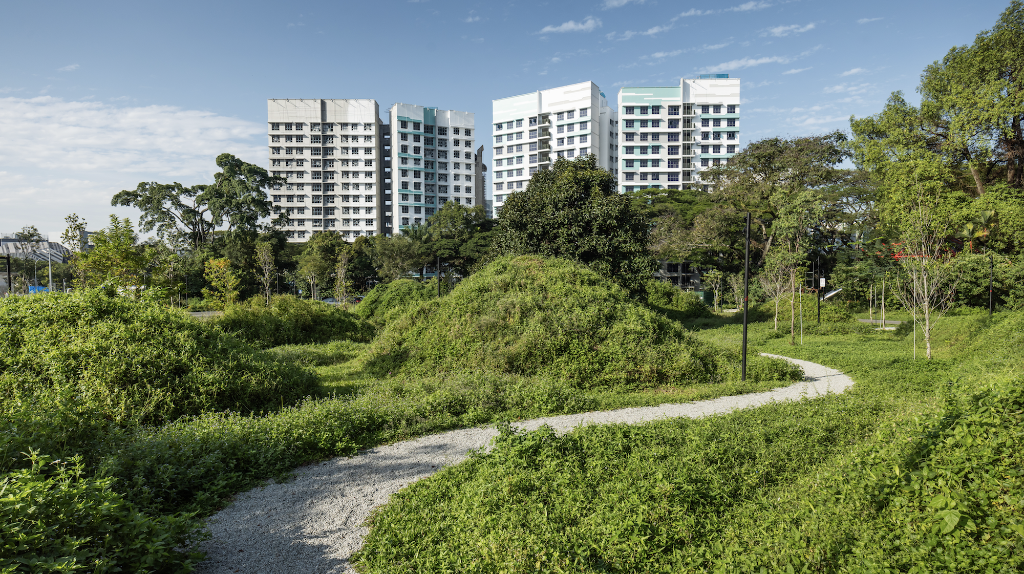 比达达利公园丨新加坡-24