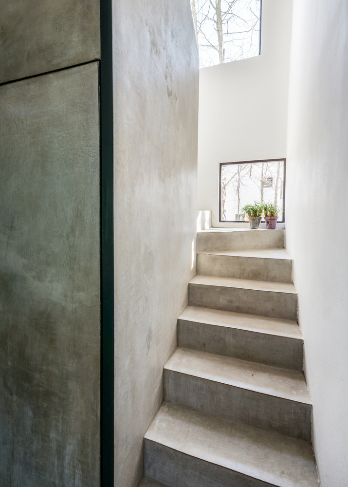 阿根廷相思树森林中的简约住宅群-44