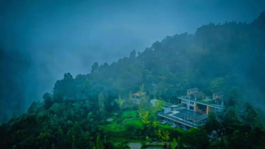 疫情中的温暖小事 | 纬图设计公司的抗疫故事-101