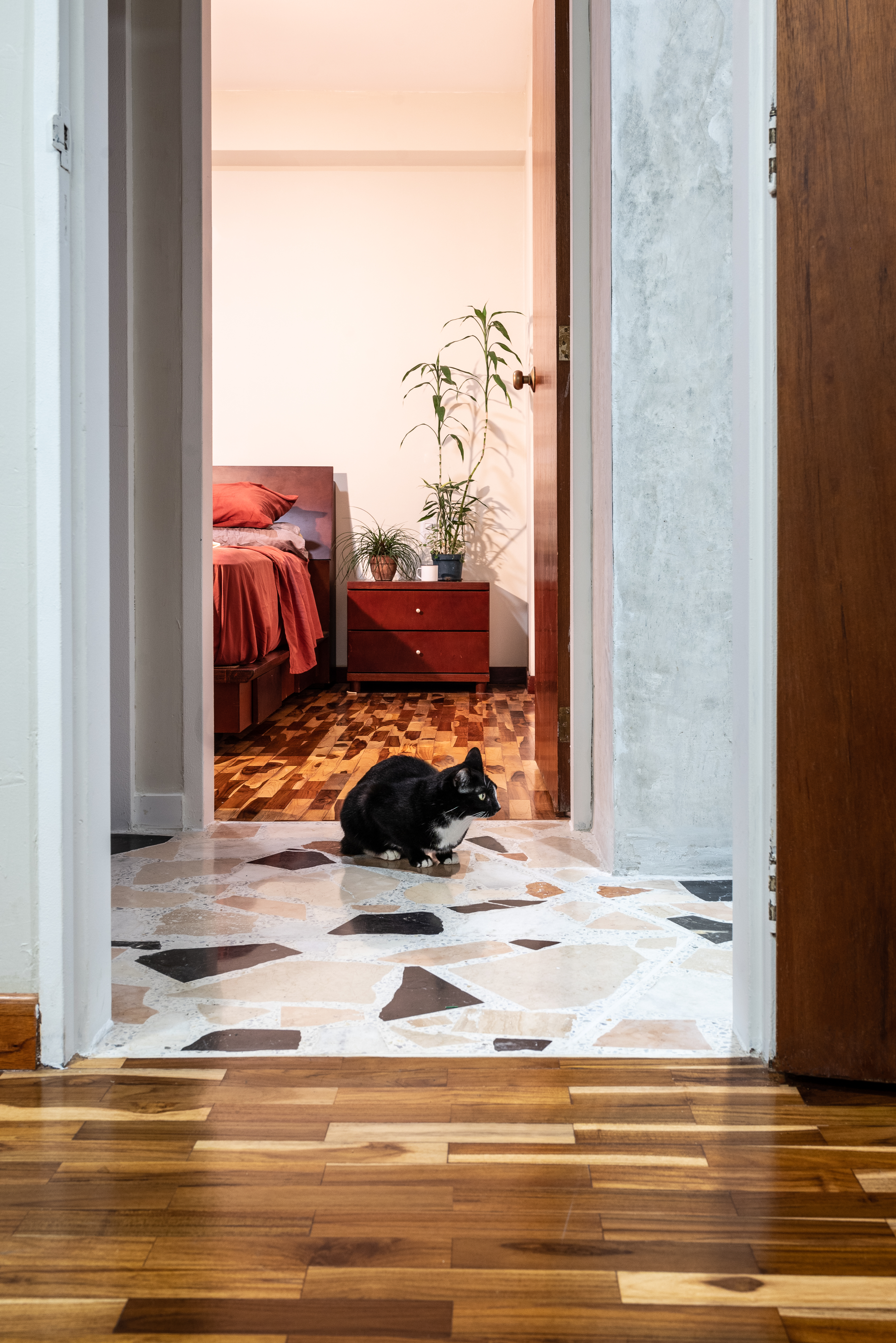 Belvedere // Contemporary Cabin-8