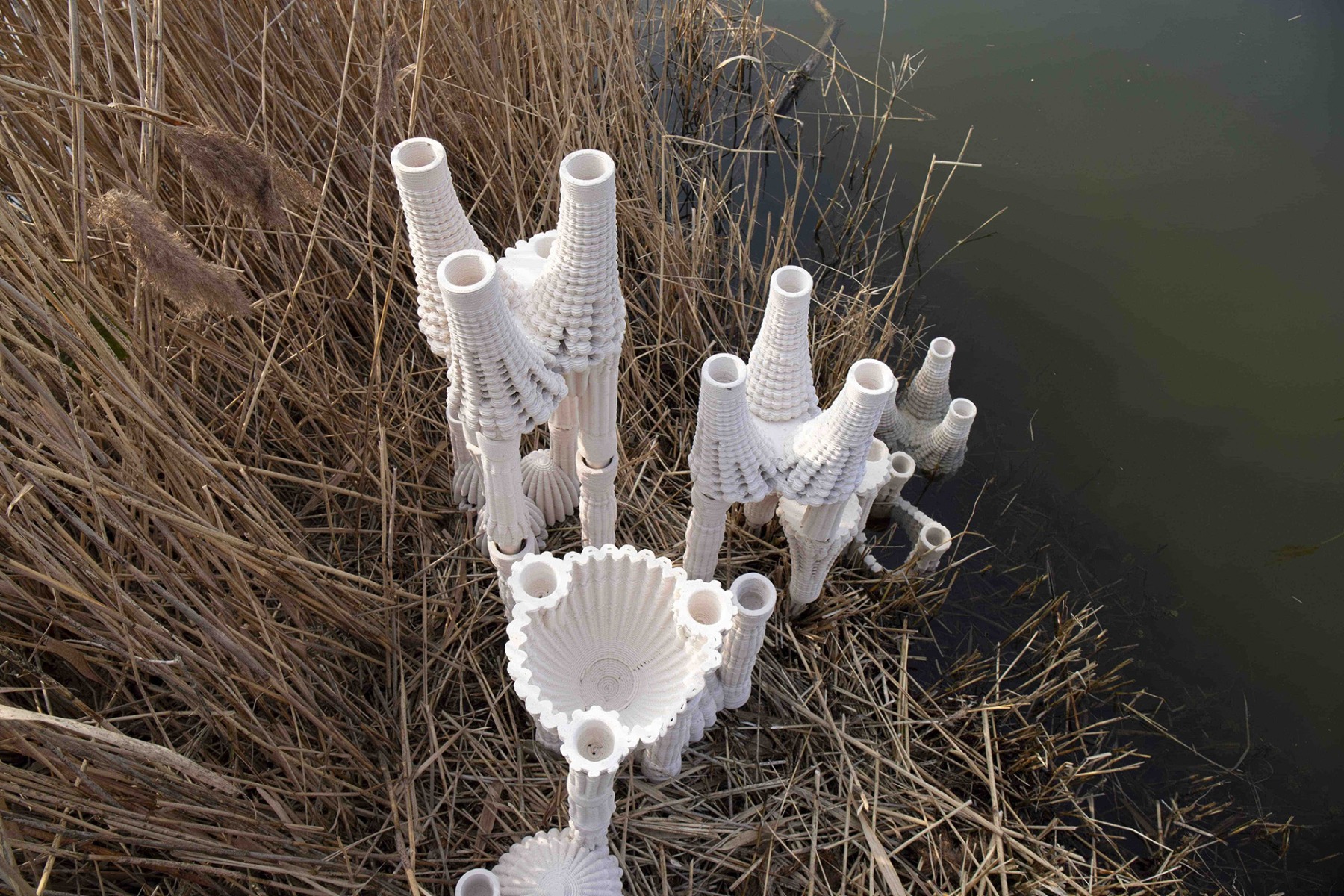 获奖项目之希尔德斯海姆两栖生物栖息地-18