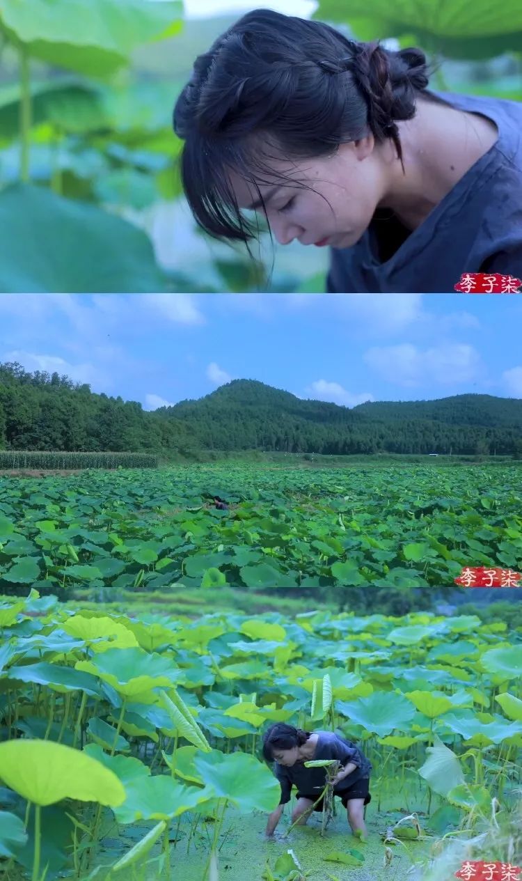 李子柒家居搭配揭秘 | 世外桃源的创意设计-47