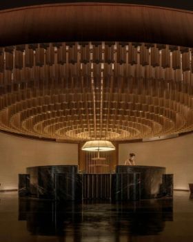 CCD 新作｜大樹華蓋，天目含章