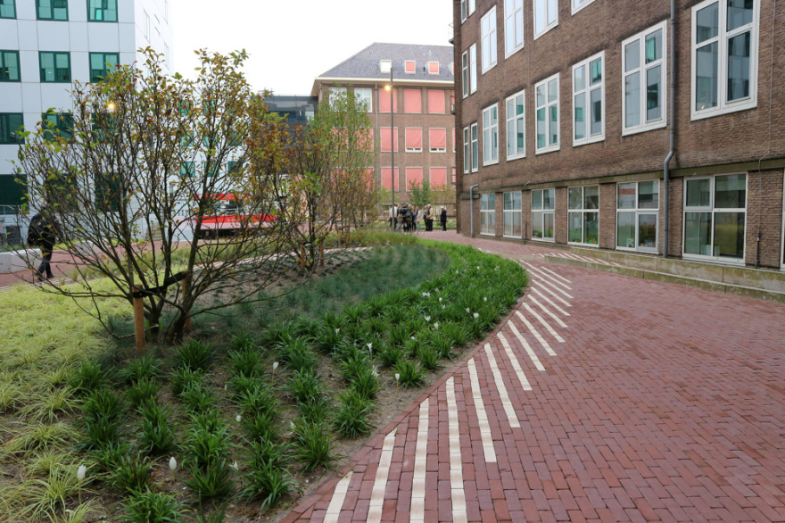 Roeterseiland,阿姆斯特丹大学景观设计丨荷兰阿姆斯特丹-33