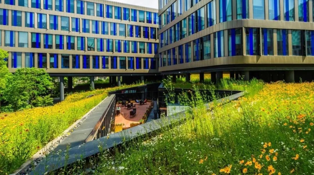 华鑫天地一期 | 建筑与景观的生态融合-61