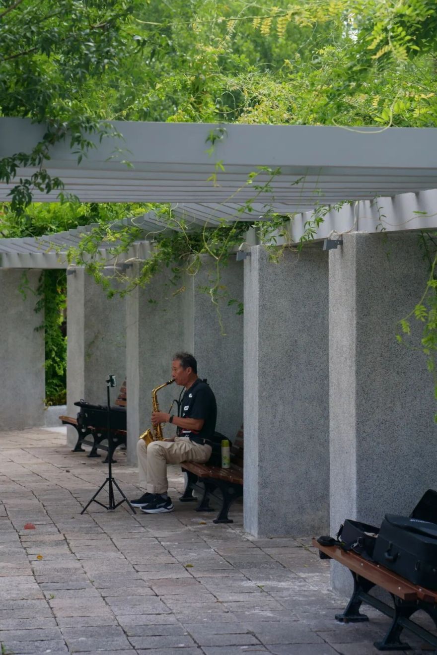 中国园林·理事专栏|“拓”之力量:杨浦公园改造纪实(三)-256