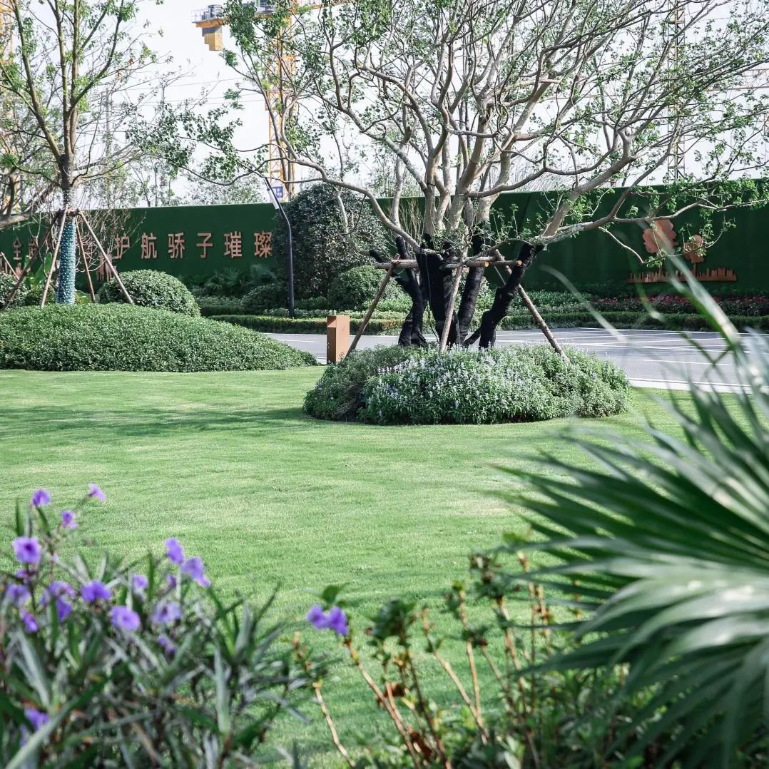 项目|高速地产集团芜湖市马塘养老院南侧地块项目公园景观设计-34