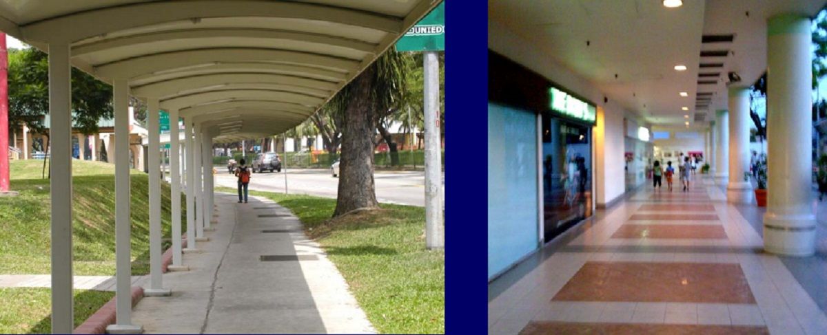 新加坡空中绿道-10