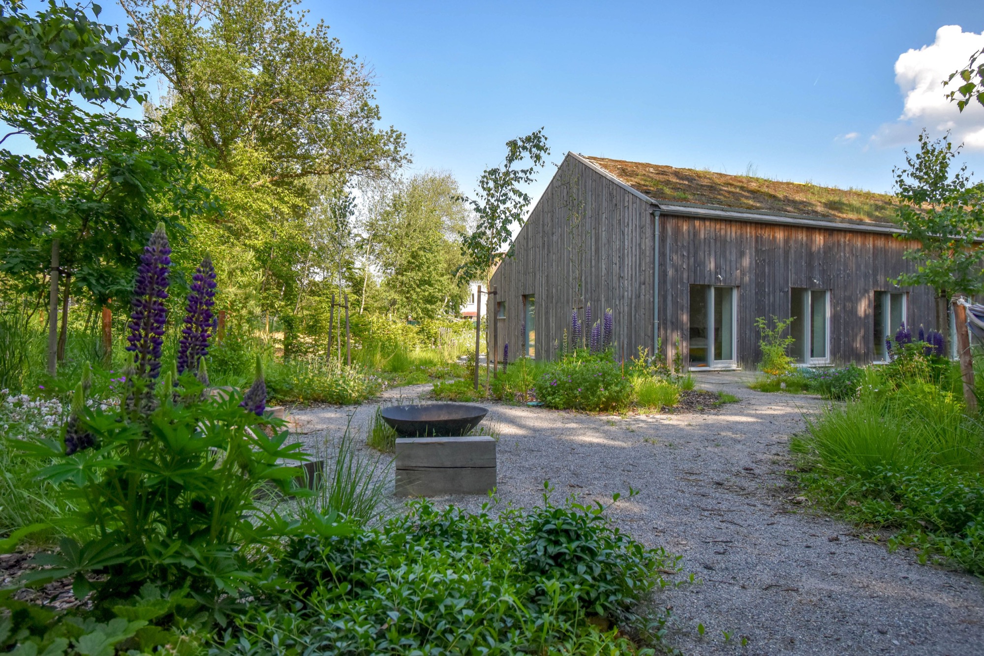 自然之境 · 现代乡村家庭花园-0