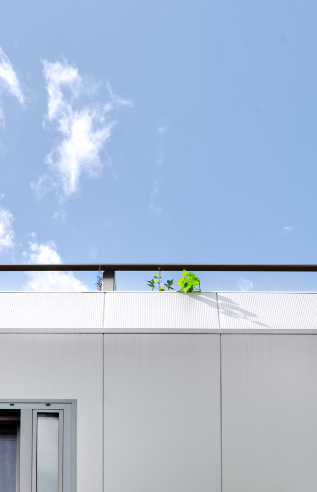 德国 Nürnberg 城市植物房丨büro für bauform-36