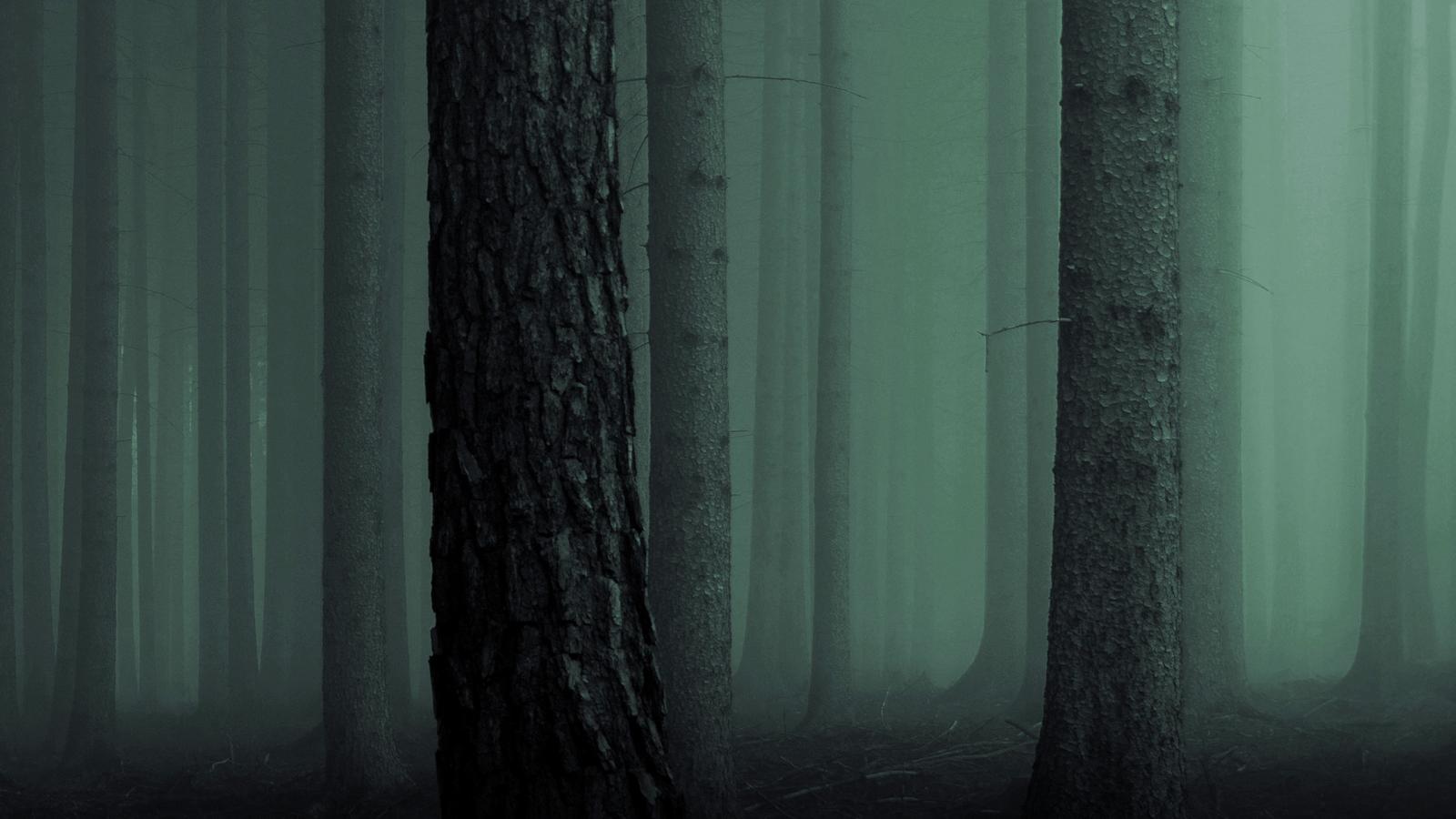 Spedition | Stylt Trampoli AB-11