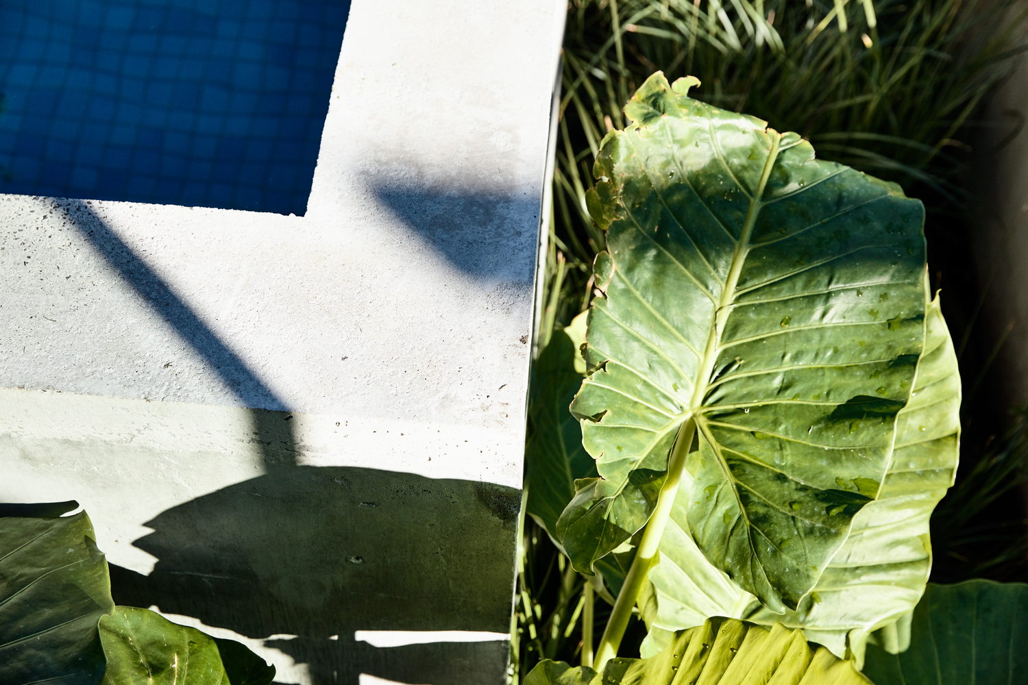 澳洲墨尔本光锯屋-31