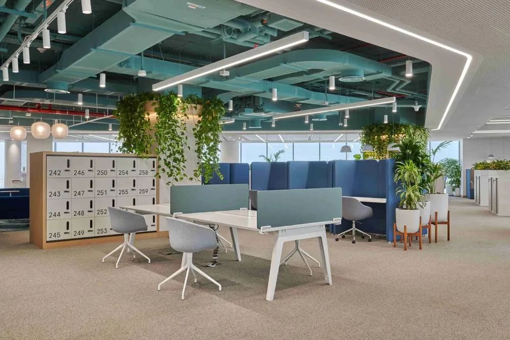 Roche 罗氏迪拜办公室丨阿联酋迪拜丨Allen Architecture Interiors Design-12