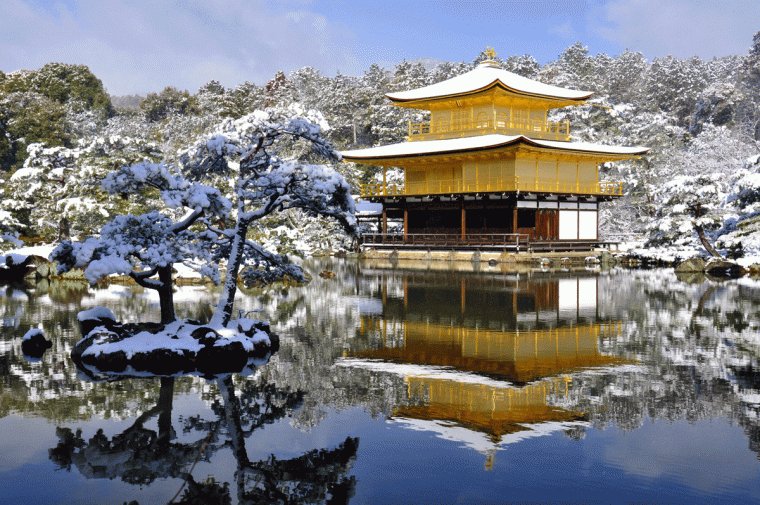 日本最美20个庭院，你更中意哪一个？-193