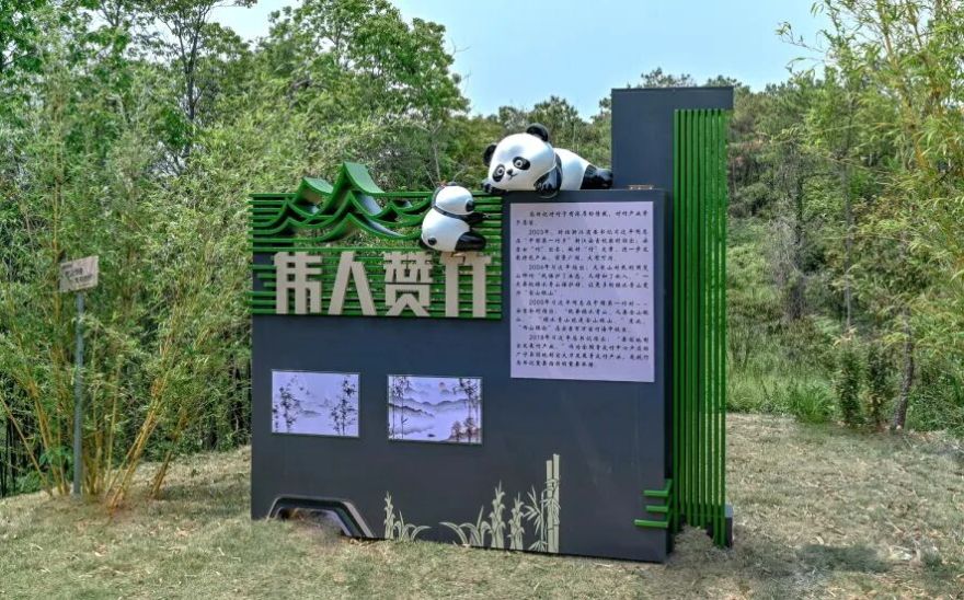 广宁竹海公园|构建绿美竹韵之路-58