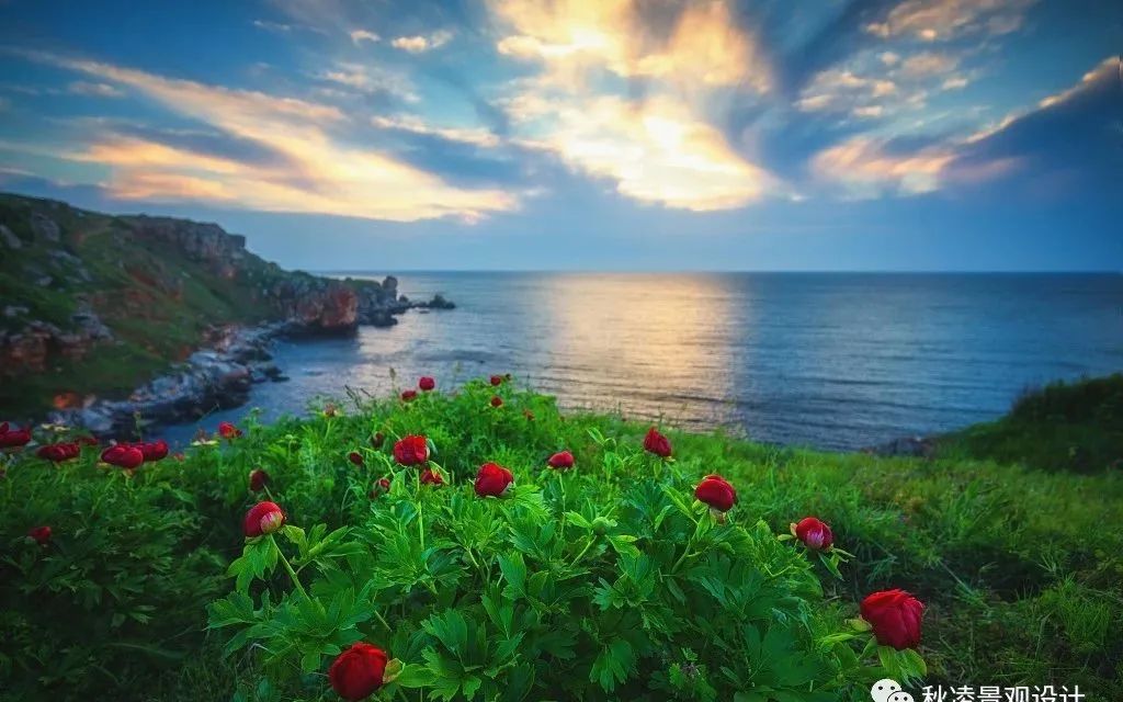 园林文化——寓意解析 | 四君子、花王与雪中四友-178