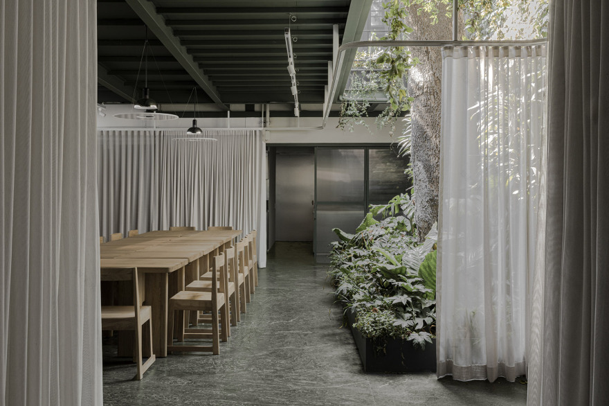 Casa Paladar 餐厅丨墨西哥墨西哥城丨Ignacio Urquiza Arquitectos-3