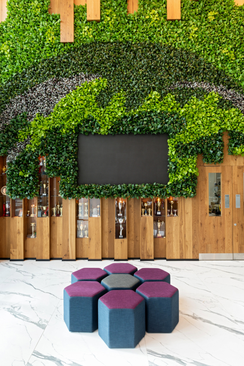 迪拜 Regent 国际学校行政区的革新设计-10