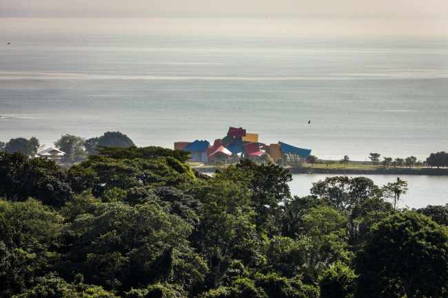 Biomuseo  生物多样性博物馆丨弗兰克·盖里（Frank Gehry）-5