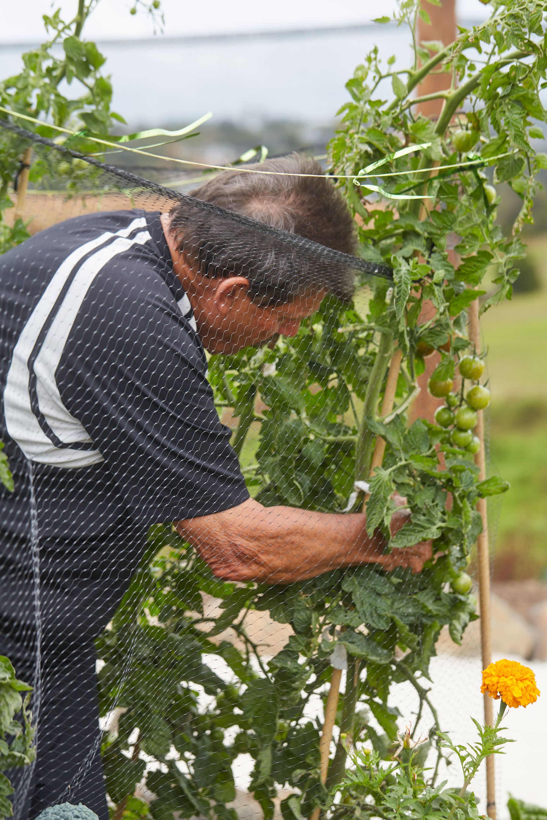 丨新西兰奥克兰丨Xanthe White,James Walkinshaw-22