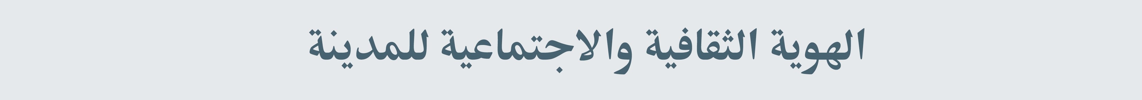 开罗市战略规划及现状研究项目丨埃及开罗丨亚历山大大学美术学院建筑系-19
