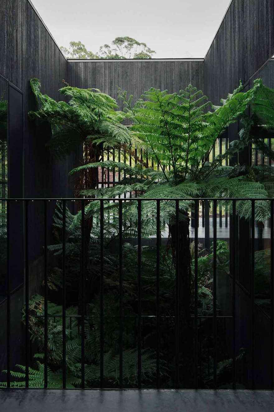 丨澳大利亚新南威尔士丨Edition Office-34