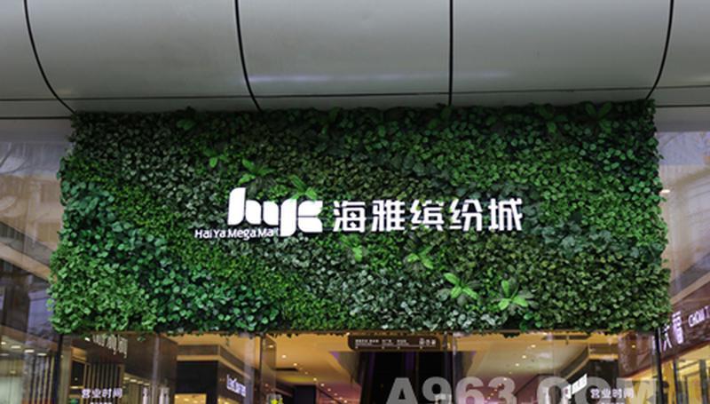 深圳宝安40万㎡植物墙打造绿色城市-8