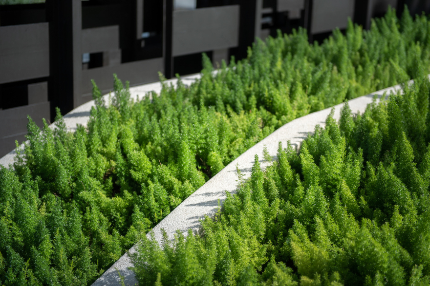 帕克兰乍兰·讪蒂旺丨泰国曼谷-16