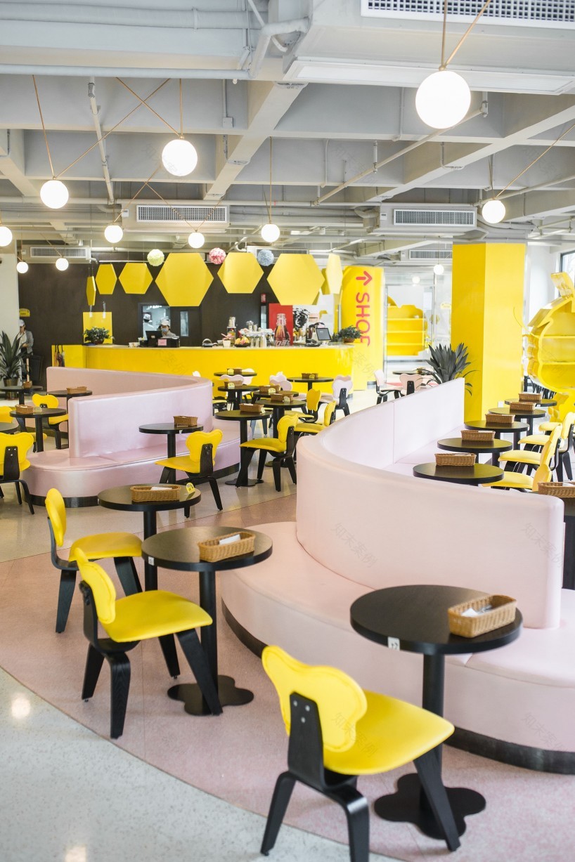 幼教叮叮学府总部 SHARK-SHARK-6