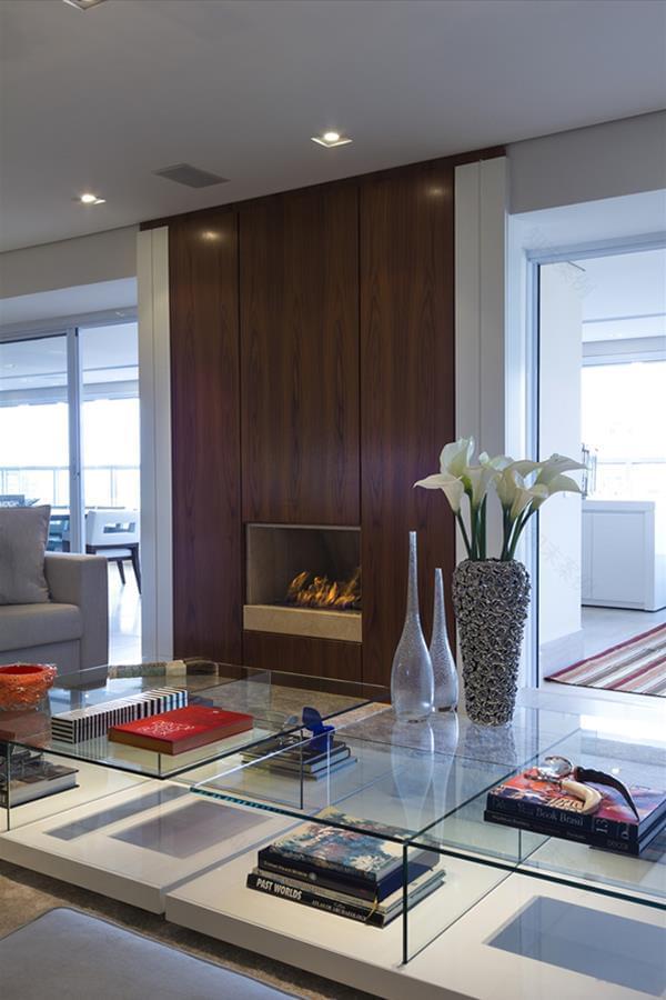 巴西 Moema 项目-9