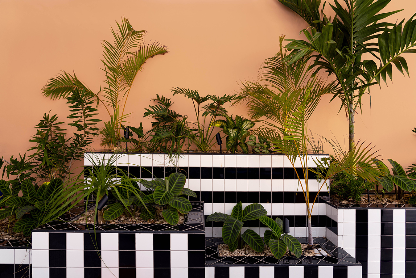 丨Camille Walala及其团队-24