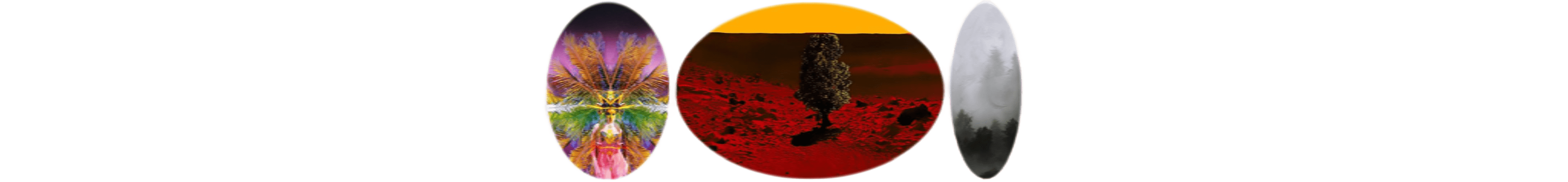 世界上的树木丨Sylvie D.-245