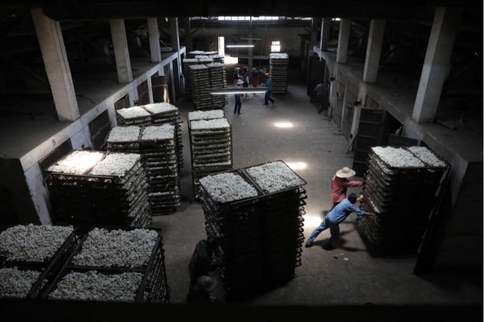 茧｜酒店｜湖州纺织业历史遗存的新生｜九樟营造事务所-226