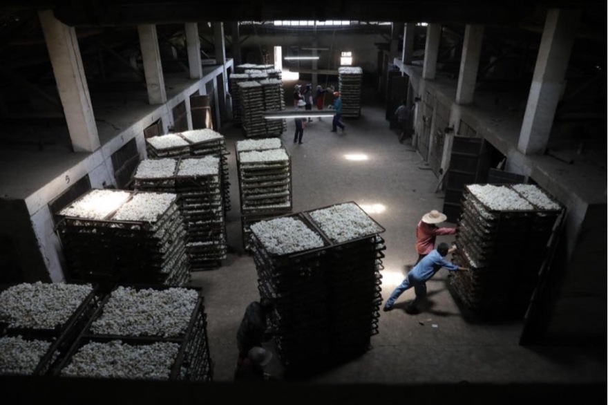 茧|酒店|湖州纺织业历史遗存的新生|九樟营造事务所-226