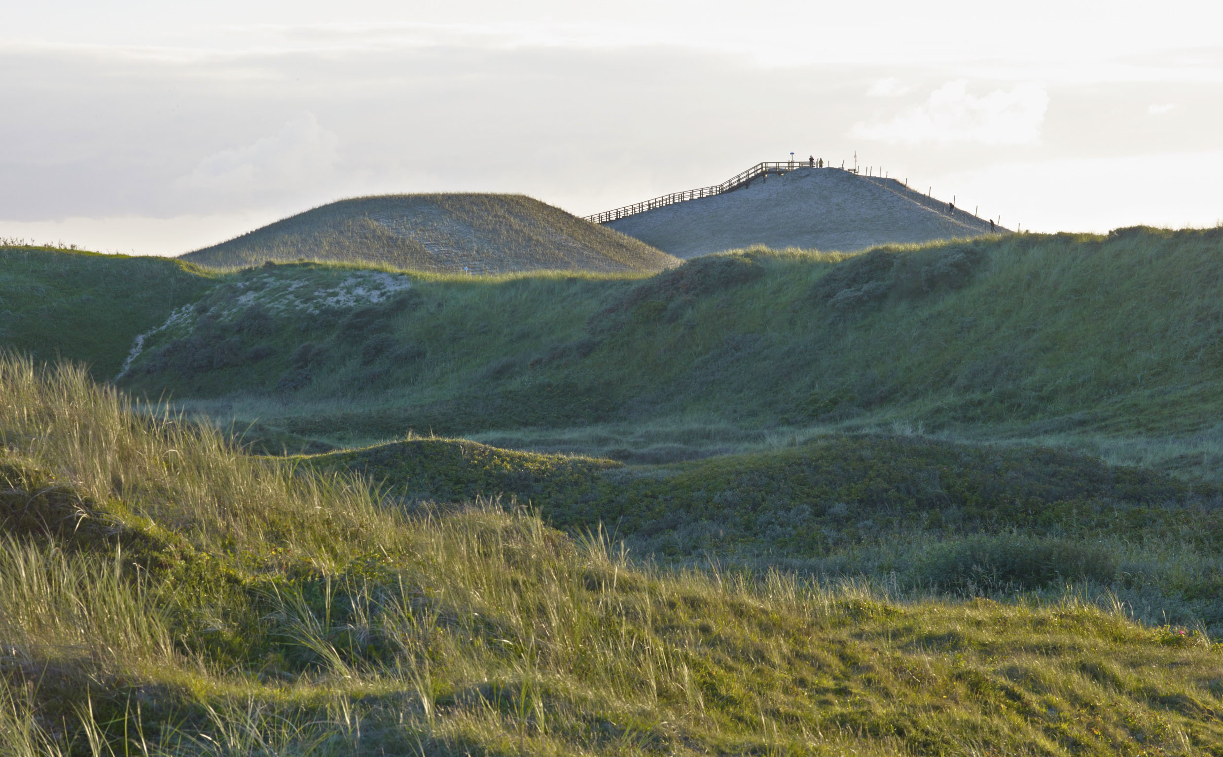 The New Hondsbossche Dunes | West 8-12