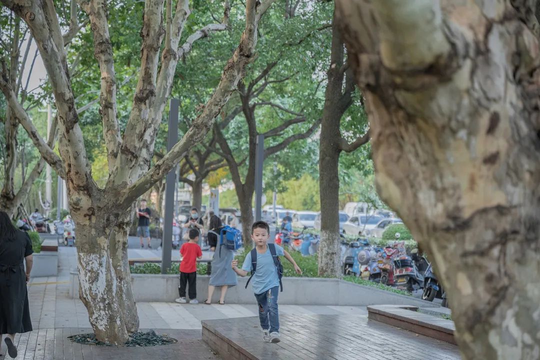 昆小薇·振华实验小学等地块更新改造丨中国江苏丨H+L汉兰景观工作室-62