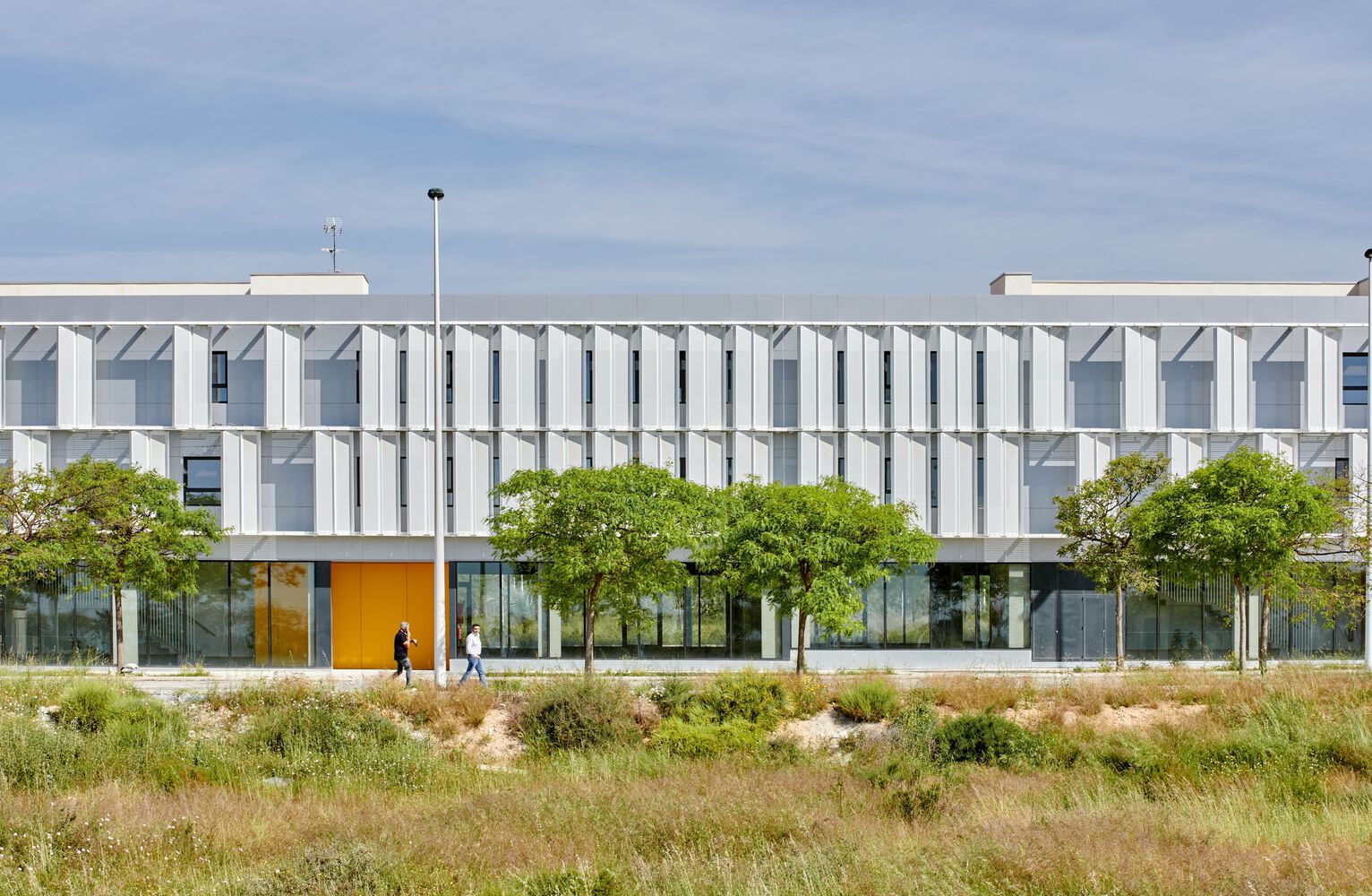 西班牙 Elche 市 77A 建筑-64