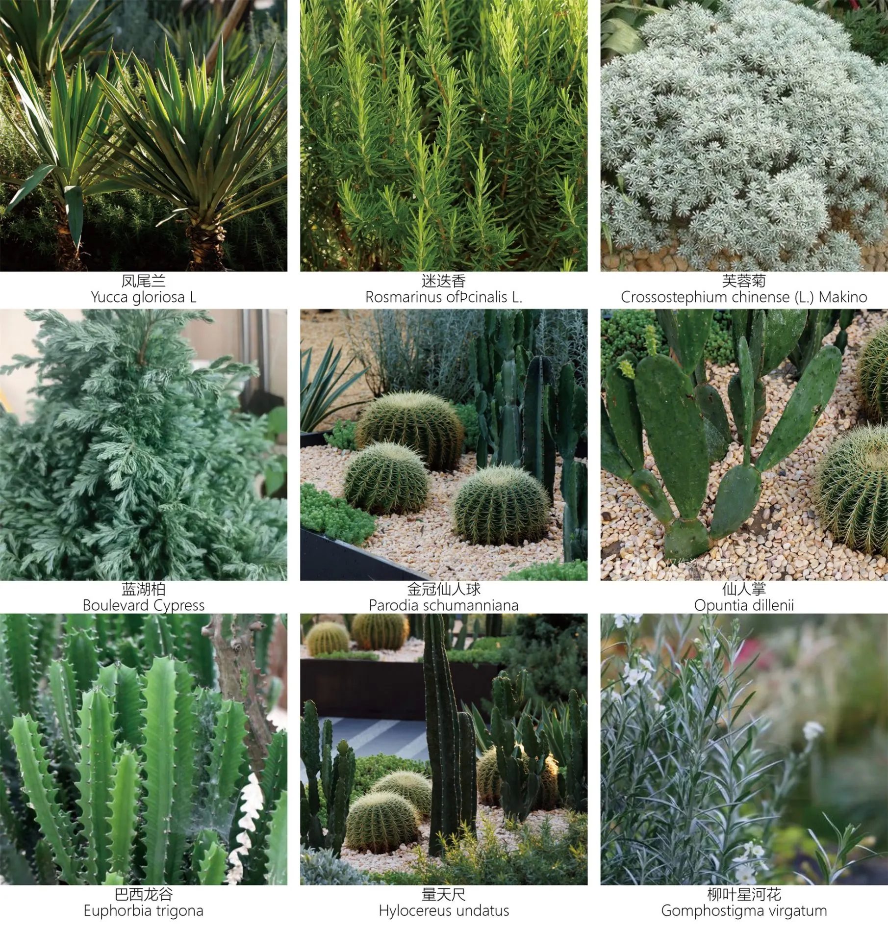 万科檐语间：城市中的原野 公园里的商业 / ROXin容心设计-69