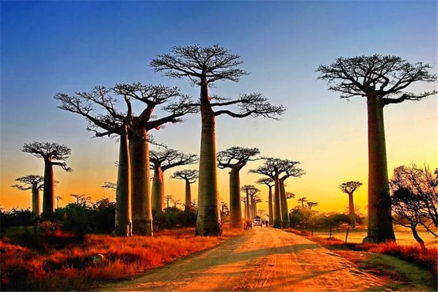 自然之灵感,艺术之展现——MAD Architects 设计作品解析-138