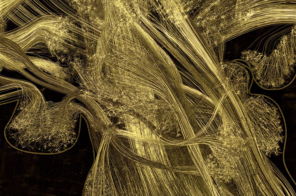 神经艺术 · 探索科学可视化的创新之路-6