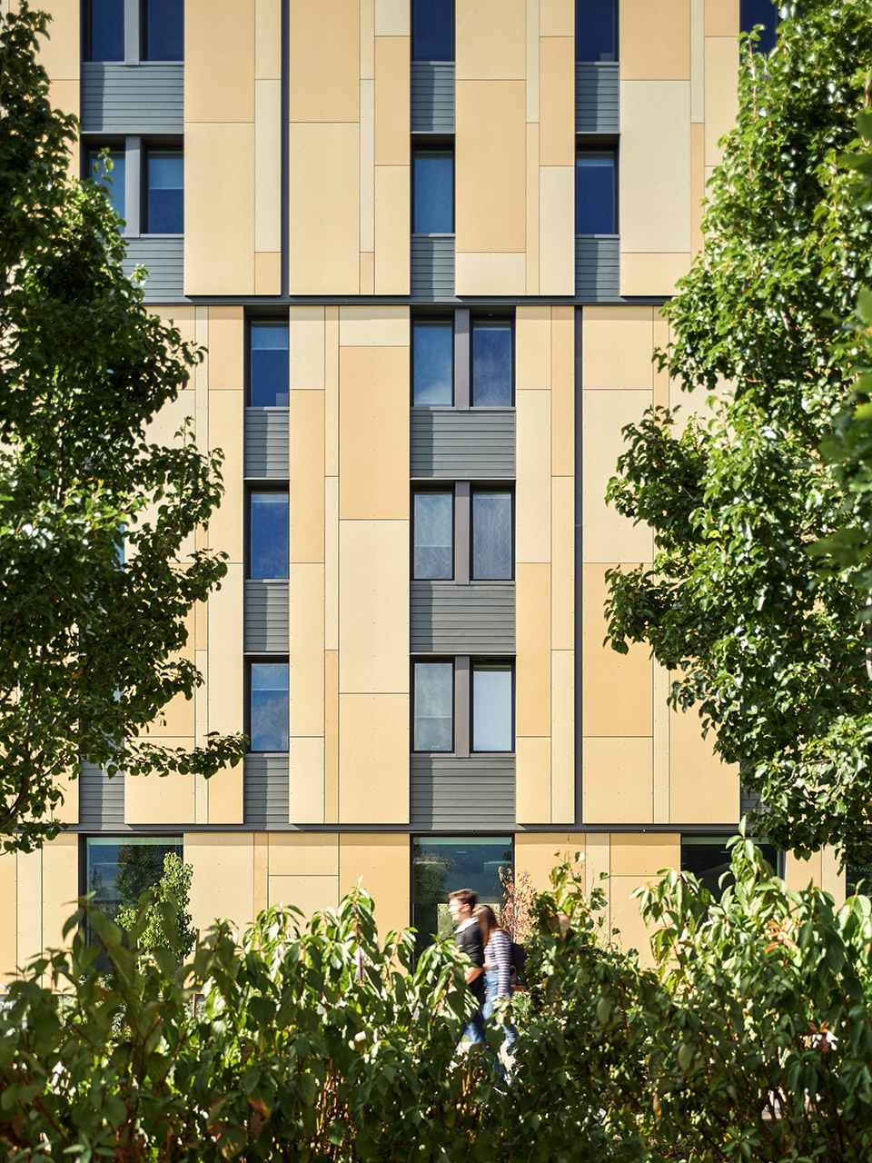 加拿大 UBC Okanagan 大学糖果色被动式宿舍-28