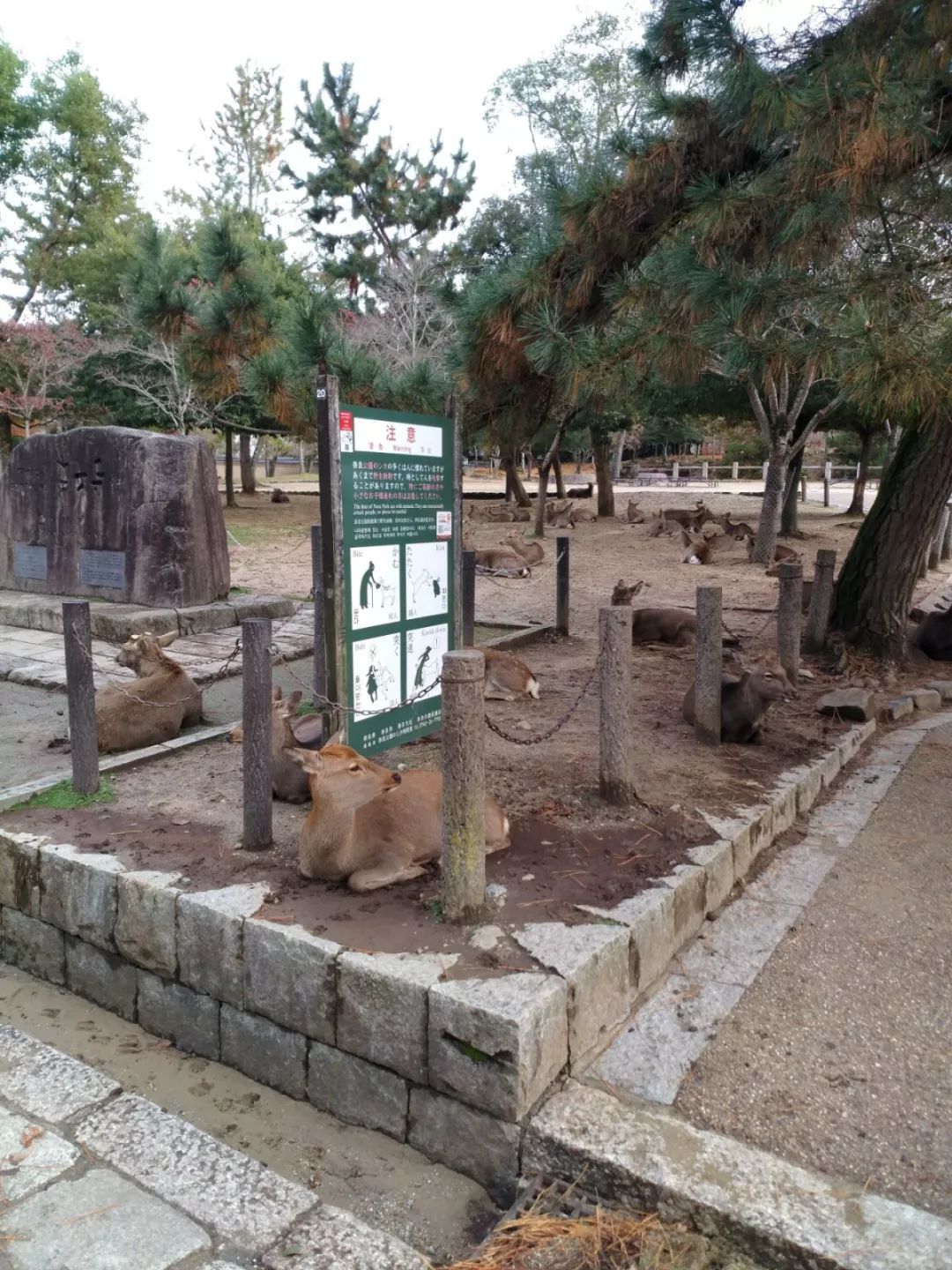 日本寺庙建筑魅力 | 传统与现代的完美融合-19