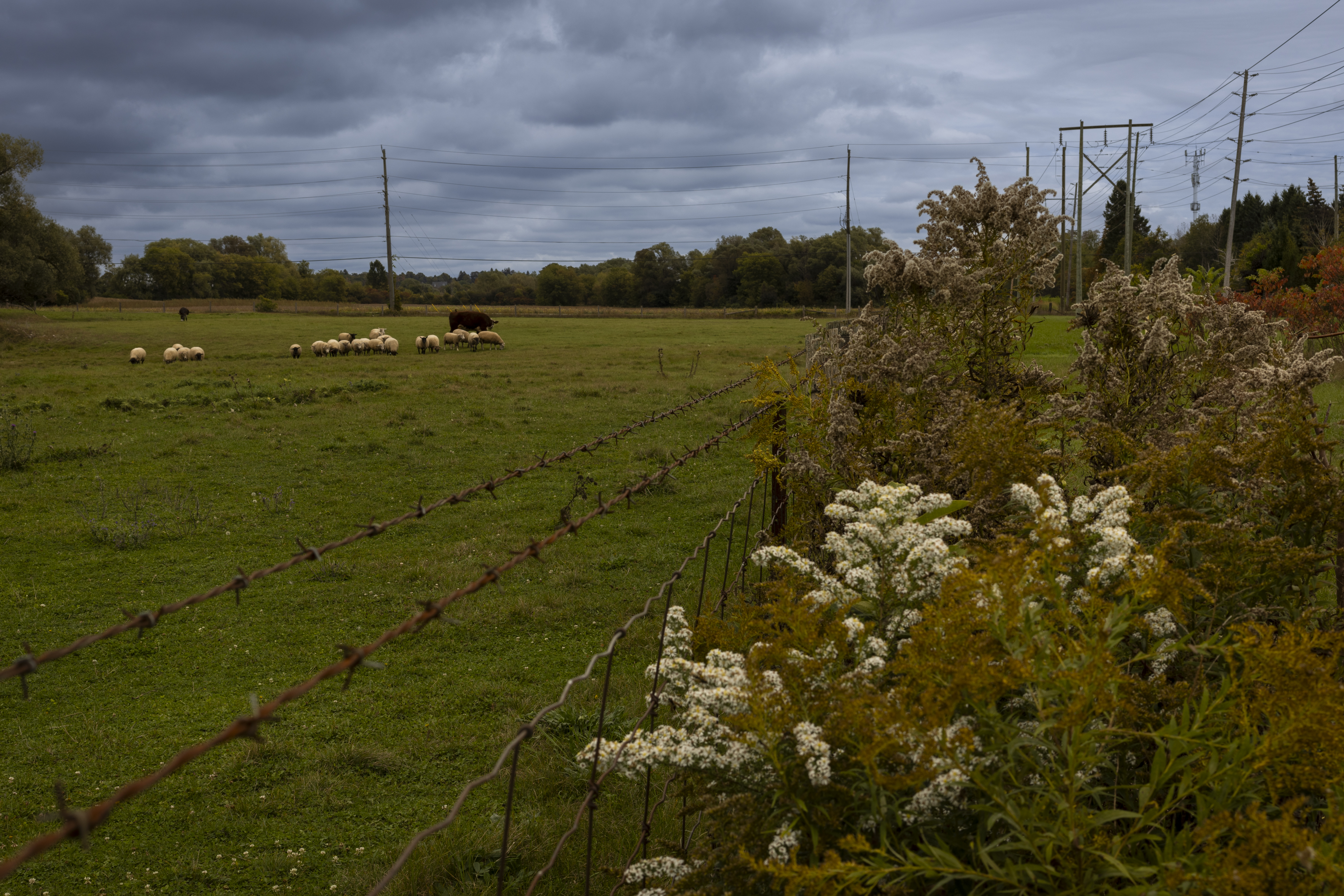 风景摄影作品集丨无相关信息-3