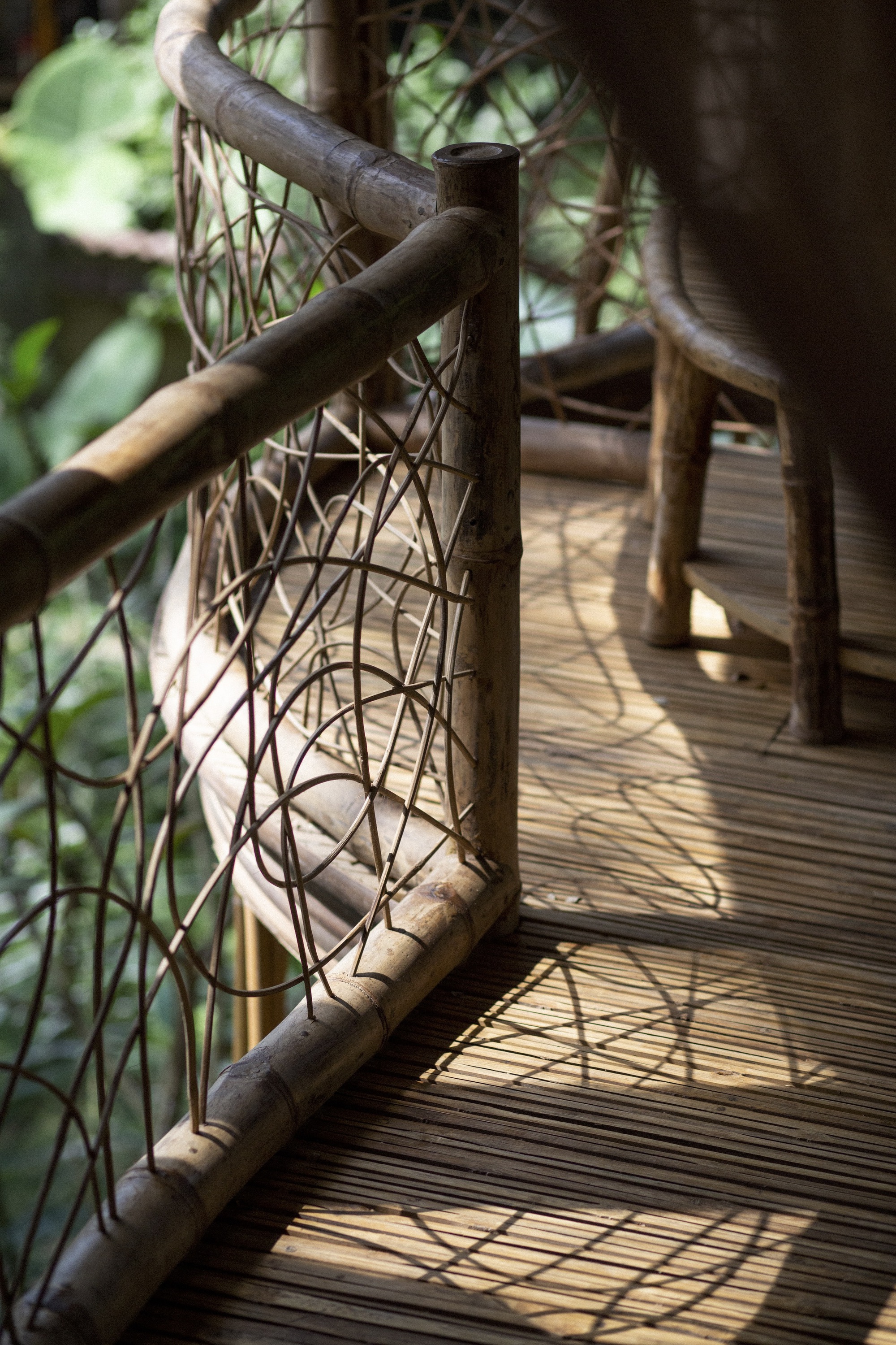 班布英达的树屋丨印度丨IBUKU-28